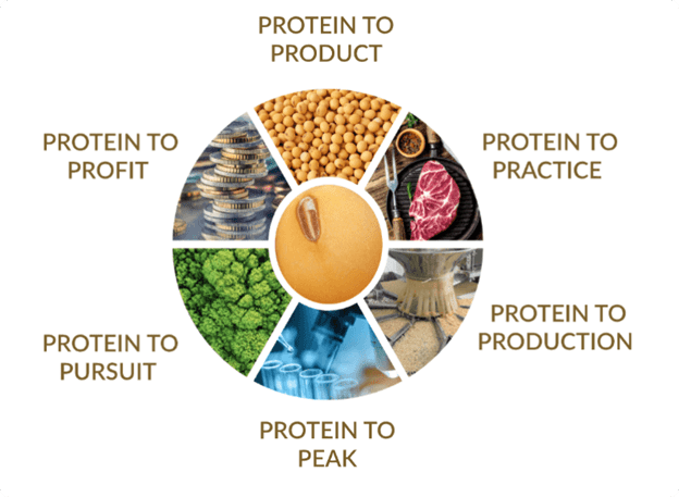 Proteintoproduct DE